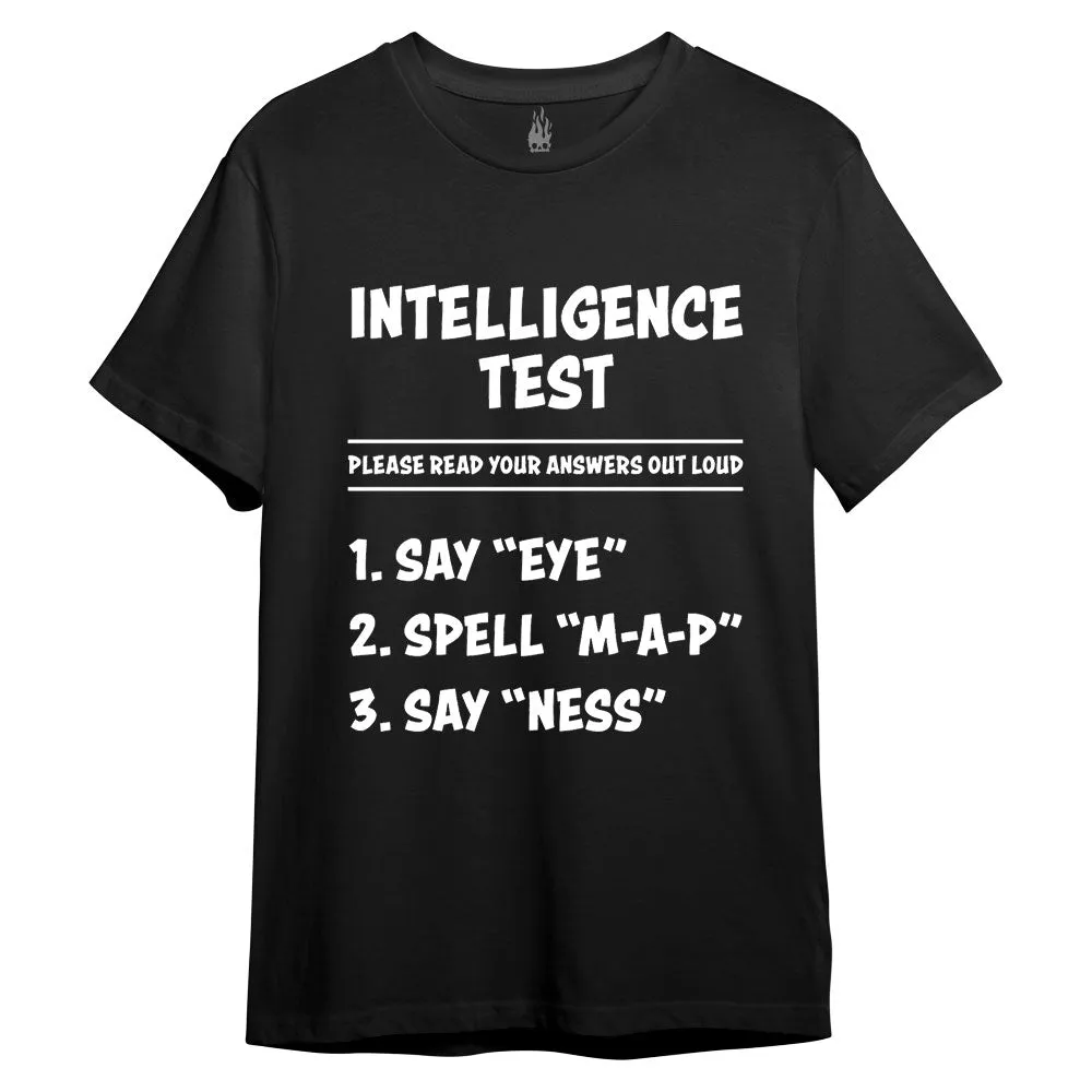 Intelligence Test