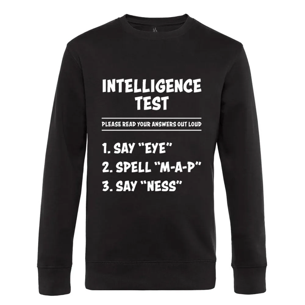 Intelligence Test